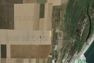 Teren agricol extravilan de 5000 mp, în Corbu - 5