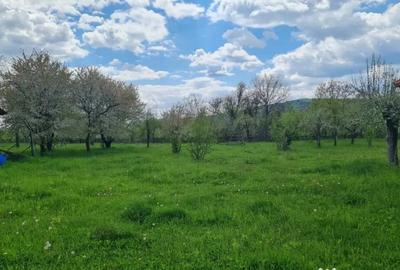 Casă cu 7 camere cu Teren 20855 Mp în Central - 4