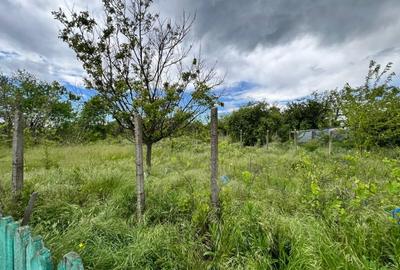 Casă individuală cu 4 camere cu Teren 4430 Mp în Tecucelu Sec - 13