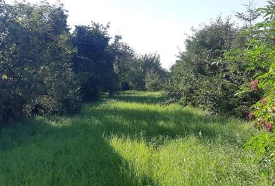 Teren de 988 mp, în Tărlungeni