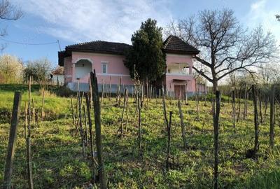 Casă cu Teren 5000 Mp în Gura Motrului - 5