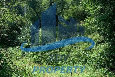 Teren in zona turistica Porumbacu de Sus - 6