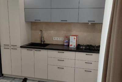 Spre inchiriere 2 camere in zona Noua - 9