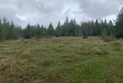 Teren de 7501 mp, în Călățele - 2