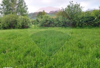 Teren de 4223 mp, în Bran - 4