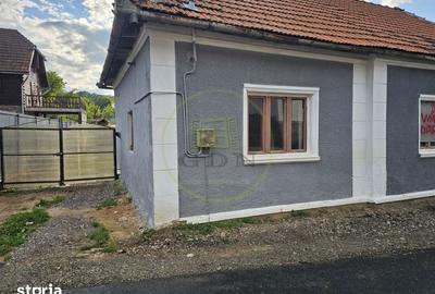 Casă cu 3 camere cu Teren 1011 Mp în Cărpinet