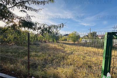 INCHIRIERE super teren 7452 mp, deschidere 3 sosele asfaltat - 13