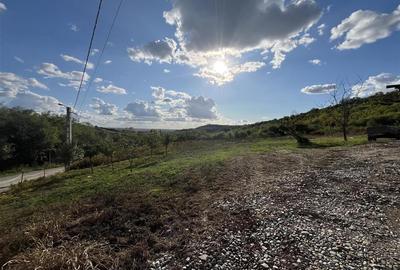 RECO Teren 4300 mp Podgoria-Oradea la 10 minute de centru - 11
