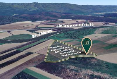 Teren extravilan de 5,99 ha la 200 m de Mureș, ideal pentru balastieră în Ususău - 2