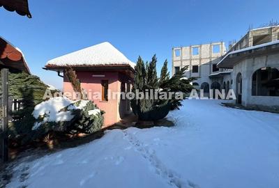 Spațiu comercial, de 2,500 mp, în 700 - 2