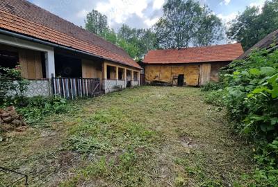 Casa batraneasca + teren Cralovat(Timis) - 5