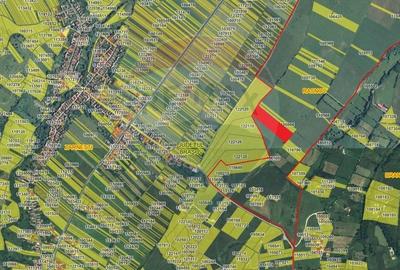 Teren agricol extravilan de 11089 mp, în Bran - 4