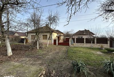Casă cu 4 camere cu Teren 1484 Mp în Vladimirescu - 14