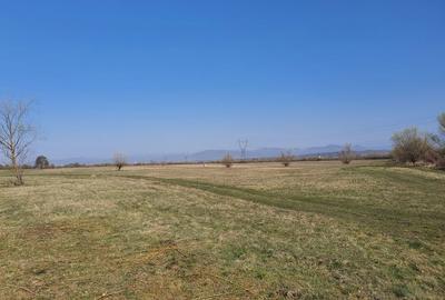 Spațiu comercial, în Coaș - 5