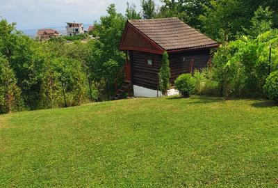 Teren, zona Aurel Vlaicu - 8