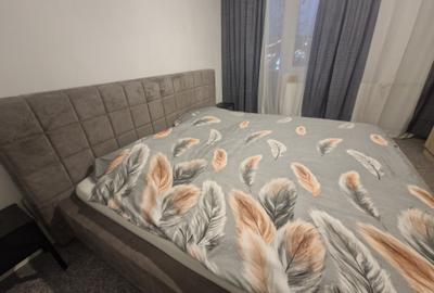 Peste drum de promenada râului Bega-cu vedere deschisa spre Parcul Catedralei - 15