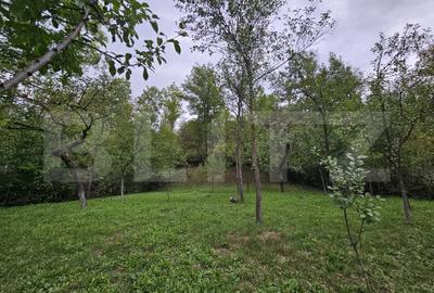 Casă individuală cu 5 camere cu Teren 1600 Mp în Exterior Vest - 8