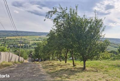 Teren de 740 mp, în Tomești - 4