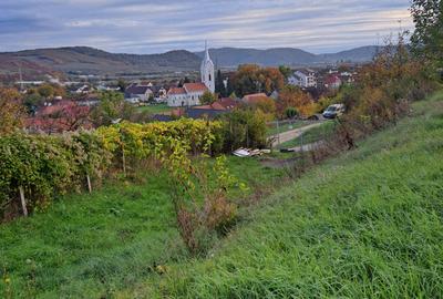 VILA NOUA,MODERNA CU 2100 METRI PATRATI TEREN-VIISOARA - 24
