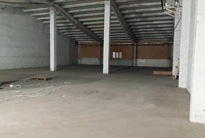 Spațiu comercial, 4500 mp în Nord
