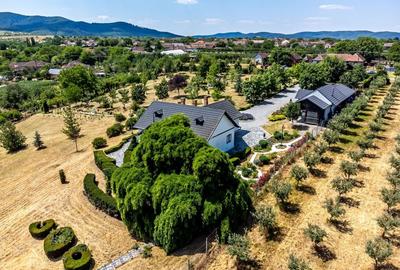 Visezi la o proprietate unică, plină de istorie și farmec? - 2