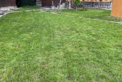 Casă cu 3 camere în Corni - 6