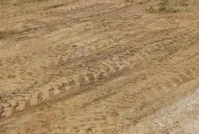 Teren de 3500 mp, în Theodor Pallady - 1