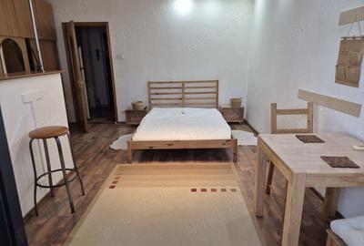 Vand Garsoniera Piata Delfinului, bloc recent reabilitat - 5