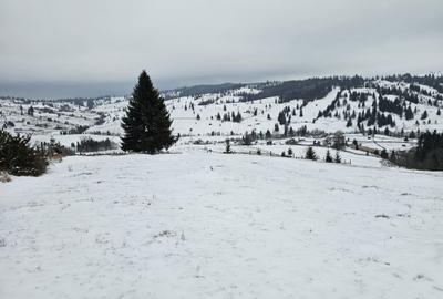 Spațiu comercial, în Breaza - 3