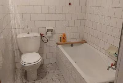 Vand Casa in Anina Vand Casa in Anina - 8