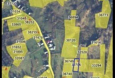 Teren de 990 mp, în Cacica - 8