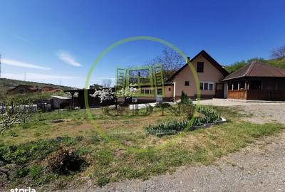 Casă cu 2 camere în Sântandrei - 9