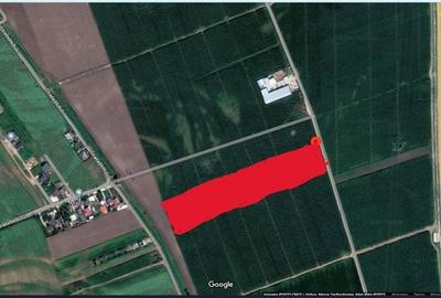 Teren de 5760 mp, în Letea Veche - 4