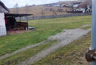 Teren Construcții intravilan de 6500 mp, în Albești - 4