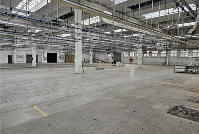 Spatiu Industrial - 2500 mp - Productie - Depozitare - Office