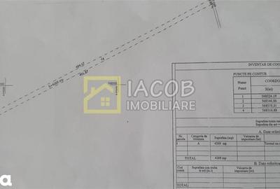 Teren de 4269 mp, în Letea Veche - 1