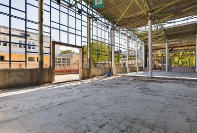 Spatiu depozitare zona Pantelimon Obor - 8