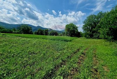 Teren intravilan 1000 mp - Viisoara, utilitati - 17