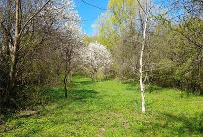 Teren de 46 mp, în Brănești - 6