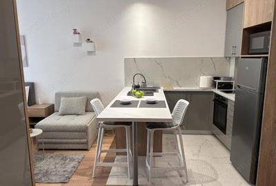 Garsoniera de inchiriat in zona Valea Cetatii - 2