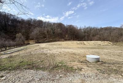 Spațiu comercial, în Păușești - 2