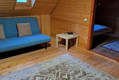 Teren în Băile Chirui - 2