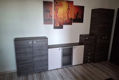 Apartament decomandat în Camil Ressu - 2