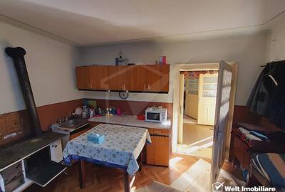 Casa tip duplex cu gradina si anexe, plus teren, 800 mp, Belis - 7