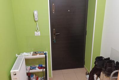 Apartament cu 3 camere semidecomandat, mobilat în Ozana - 26