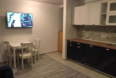 Apartament cu 2 camere semidecomandat în Giroc - 4