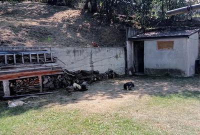 Casă cu 5 camere în Vatra Satului - 4