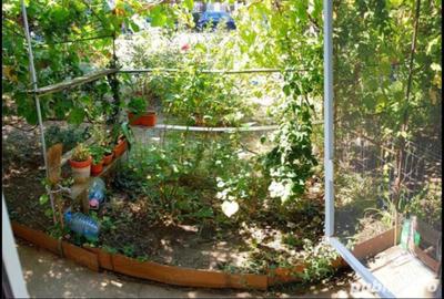 Garsonieră nedecomandată în Vest - 2