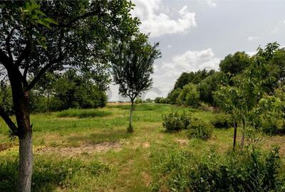 RECO Casa de Ineu - 2