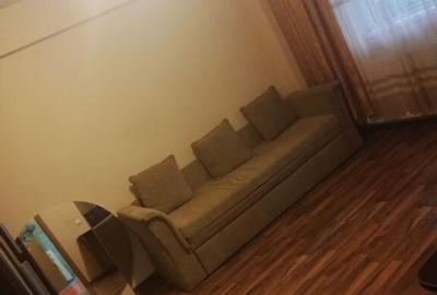 Garsoniera Aradului - 2